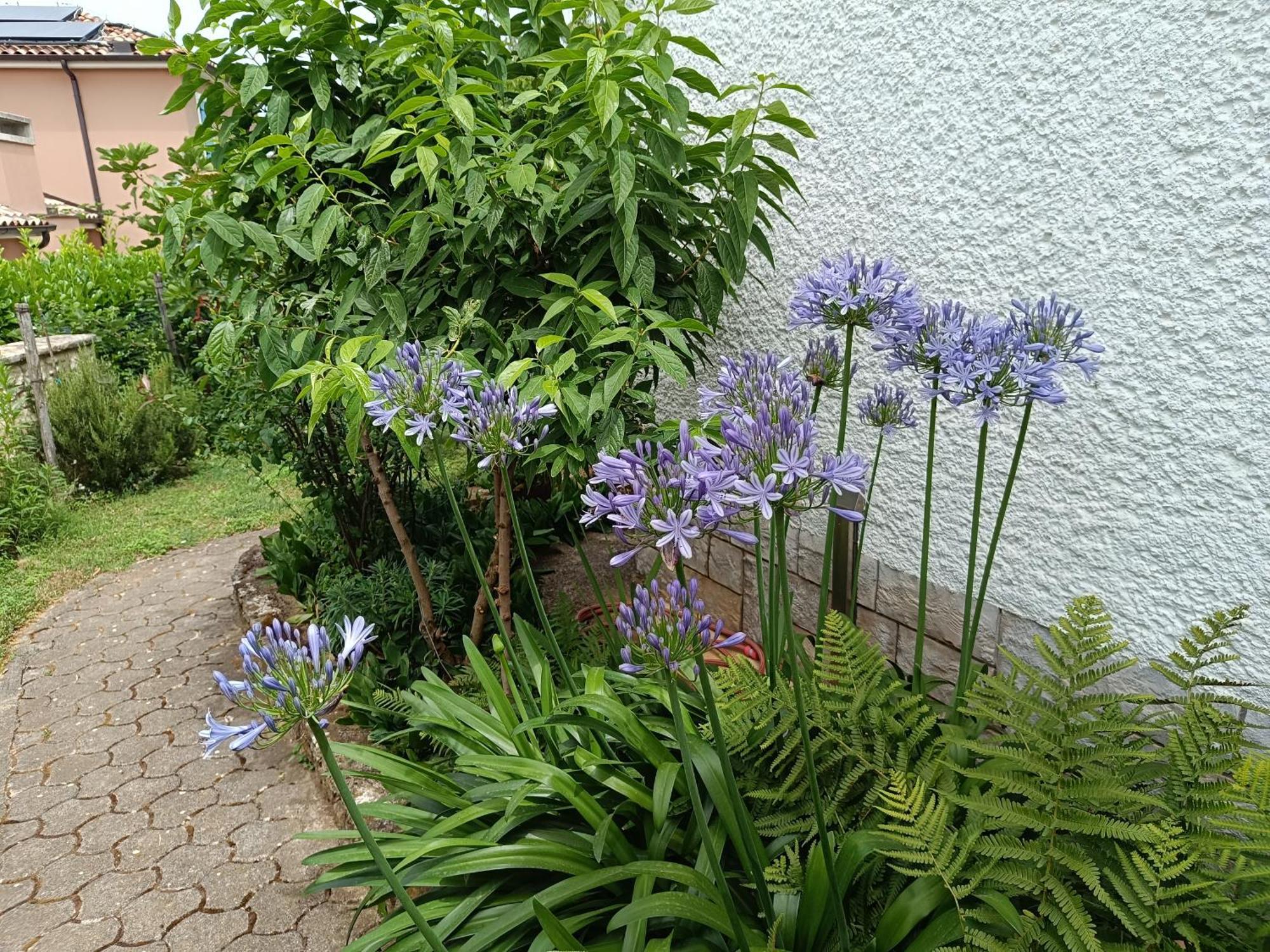 Apartment Milena Porec Luaran gambar
